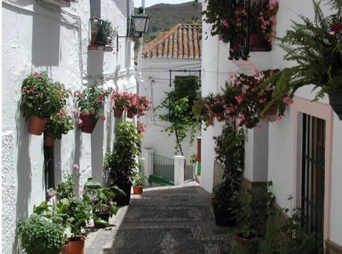 Hotel Posada Del Bandolero Borge Exteriör bild
